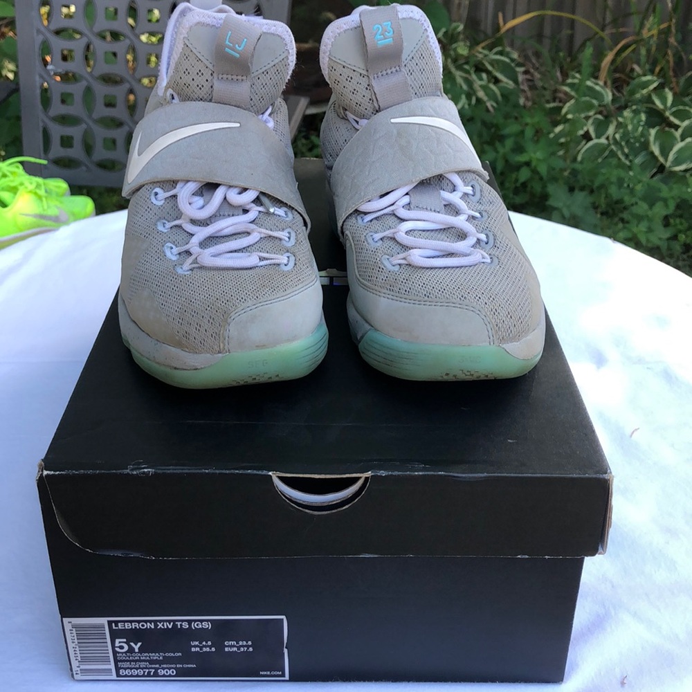 Nike kids 5y Lebron 14 back to the future sneakers